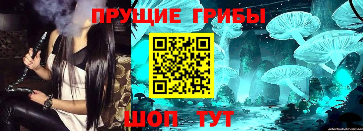 Псилоцибиновые грибы прущие грибы  Вход с VPN  Великий Новгород 